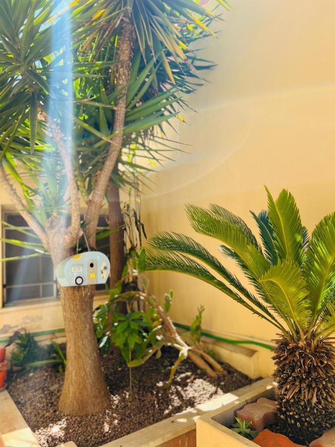 Apartament Surf House Lido di Ostia Zewnętrze zdjęcie